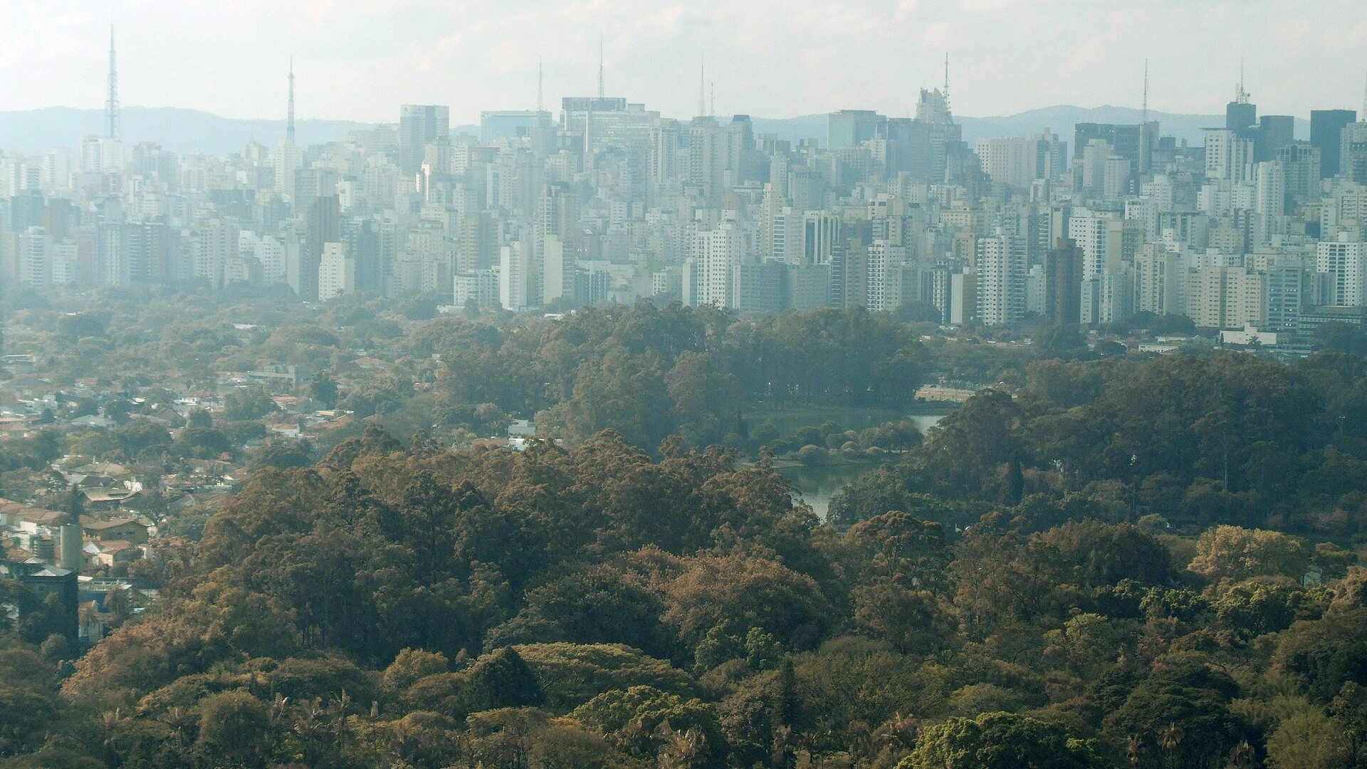 Vista aérea de la densidad urbana de São Paulo con el Parque Ibirapuera en primer plano
