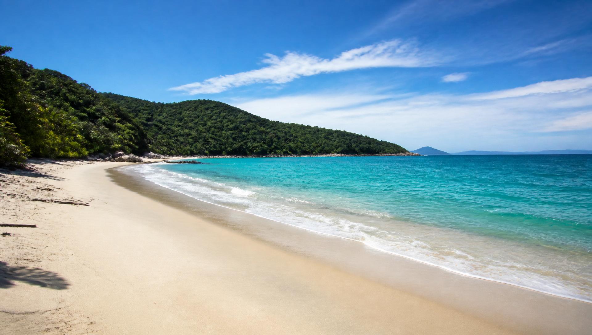 Playa de aguas calmas y color turquesa con vegetación costera