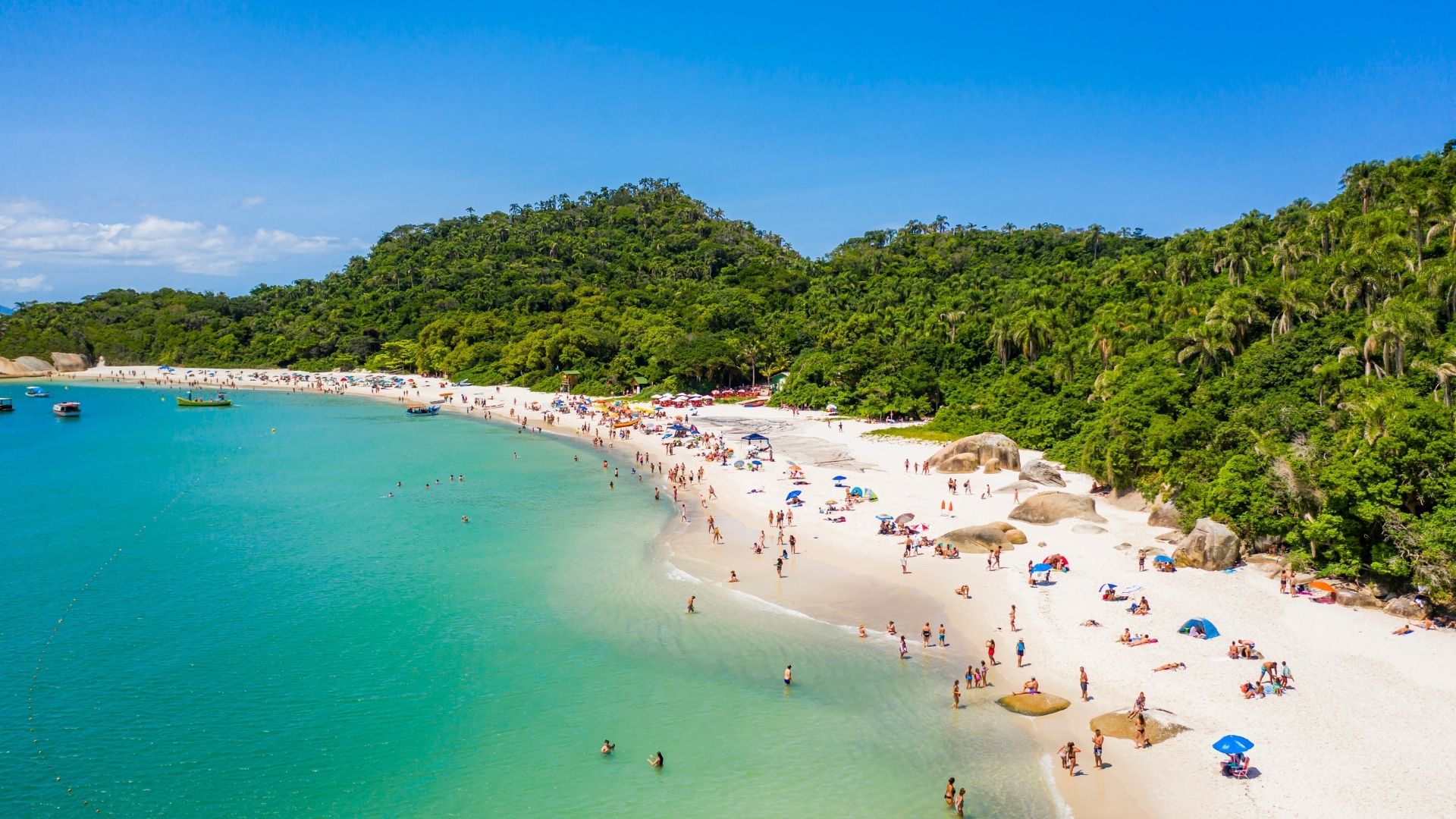 Playa de mar abierto en el este de Florianópolis con olas y vegetación costera