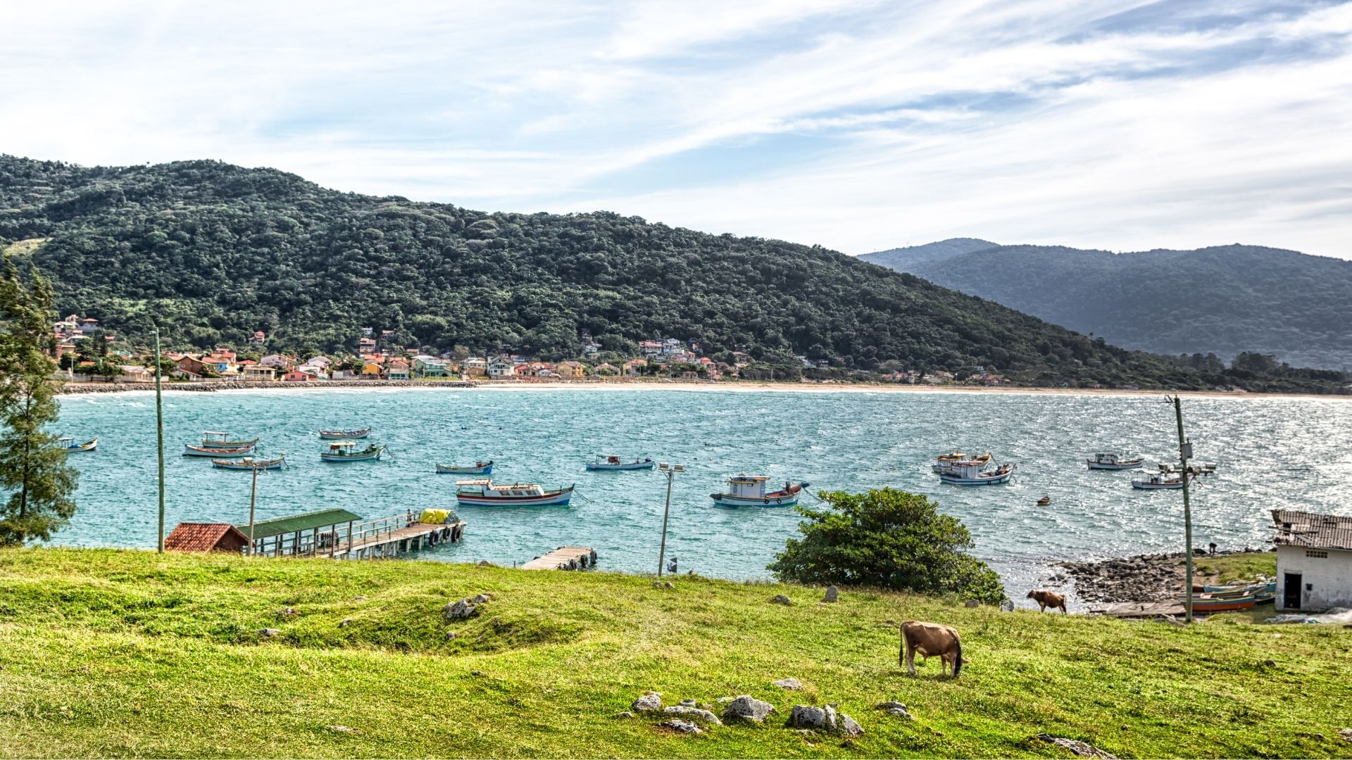 Costa del sur de la isla de Florianópolis con morros verdes, playa y mar abierto